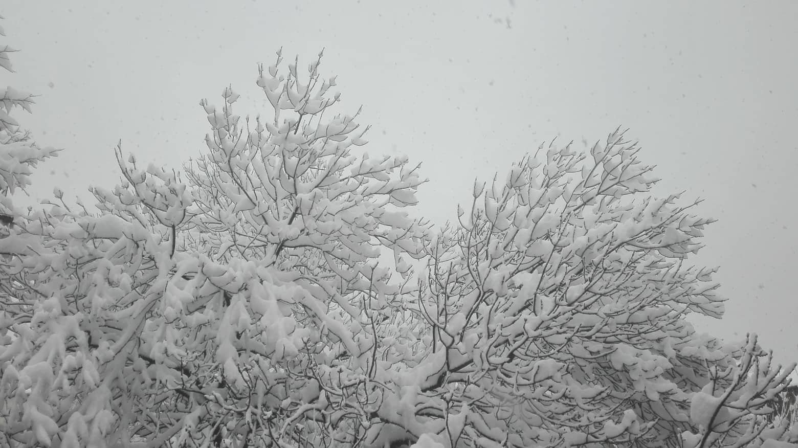 времето, зима