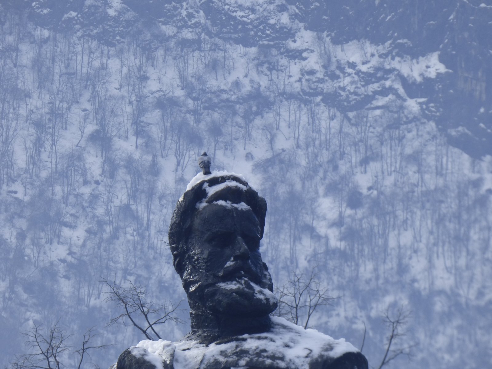 S poetichna kompozitsia Vratsa otbeliazva 171 godindi ot rojdenieto na hristo Botev