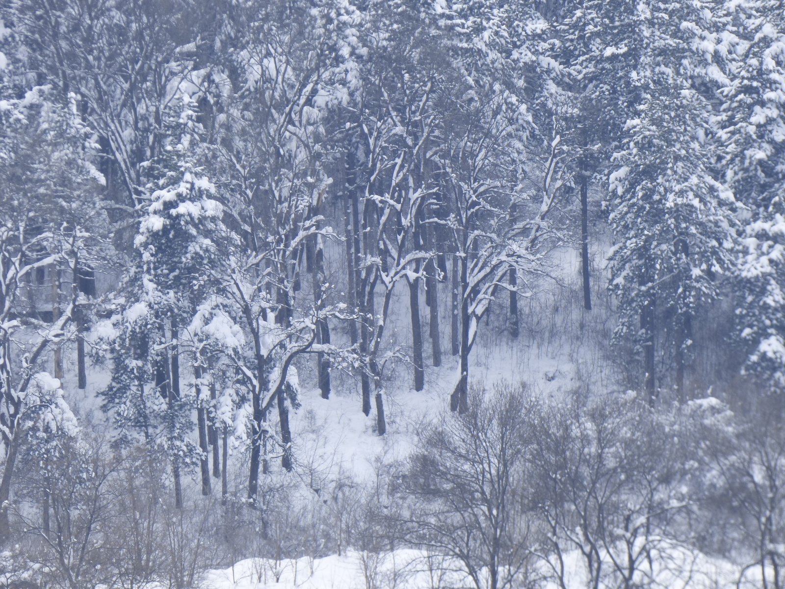 vremeto-nad-zapadna-bulgaria-oblachnostta-shte-namalee