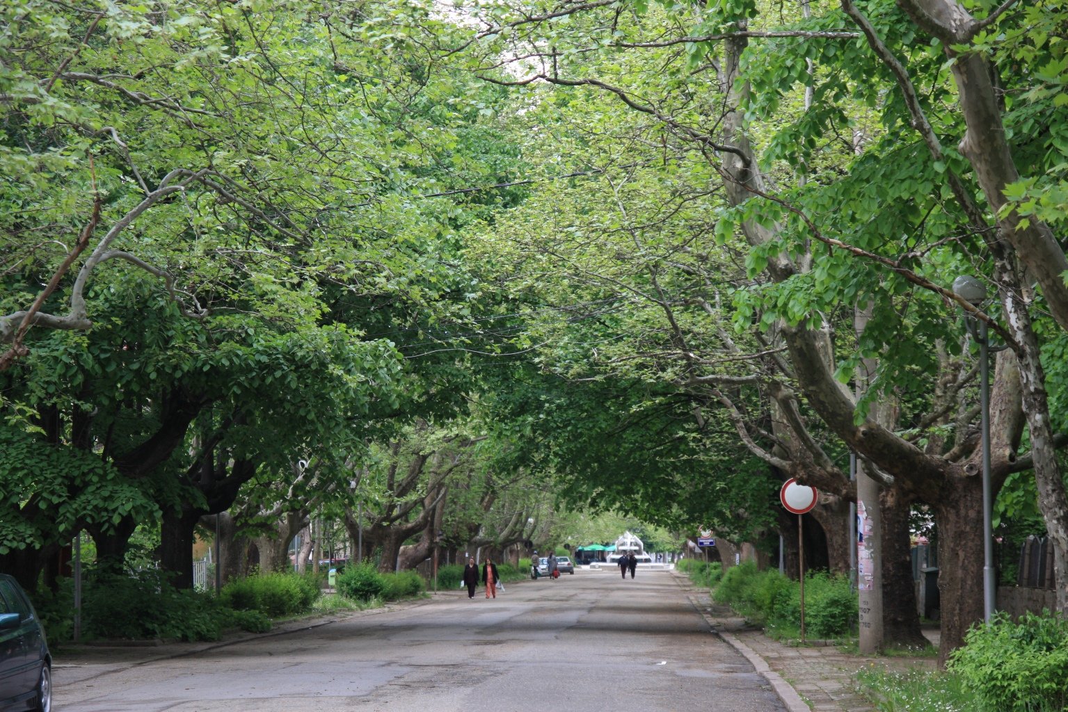 studen-dush-za-sobstvenicite-na-selski-kushti