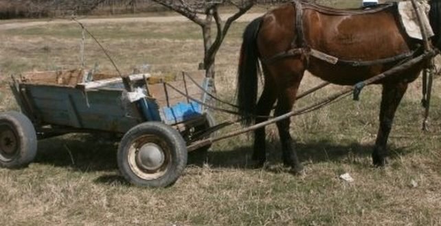 Karutsar “gori” po Nakazatelnia kodeks zaradi merak da pocherpi