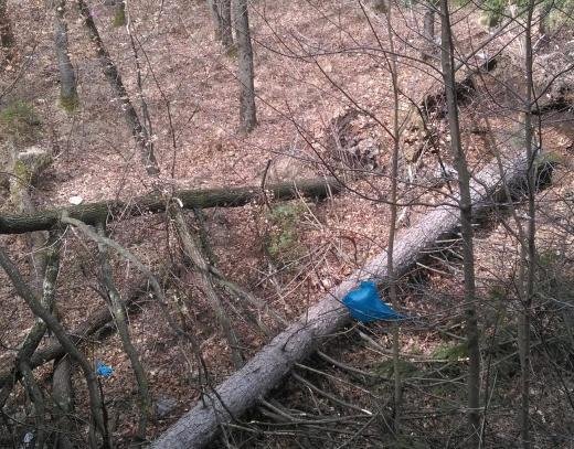 Padnalo darvo zatrudni dvijenieto ot Vratsa kam Oriahovo