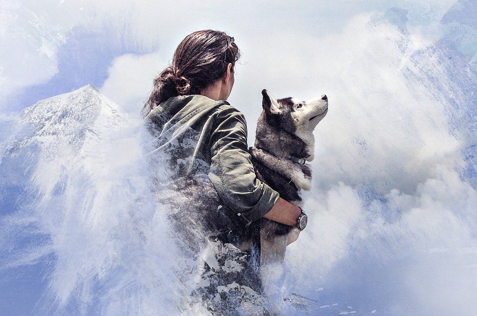 Dnes e zimiat Simeoovden - edin ot nai-loshite dni v godinata Dnes e zimiat Simeoovden - edin ot nai-loshite dni v godinata