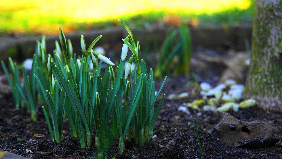 Toplo I dajdovno shte e vremeto dnes