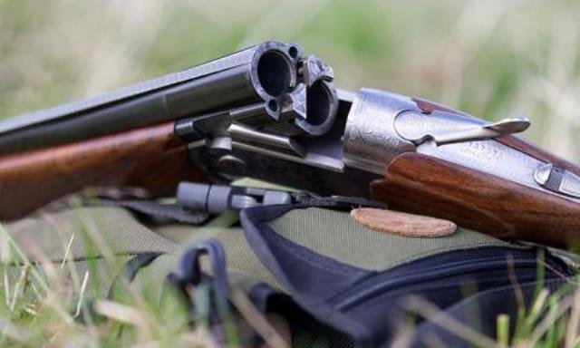 Vaorajeni maje obikaliali po tamno selska mestnost