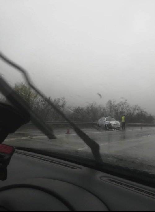 Patrulka blasna sarna