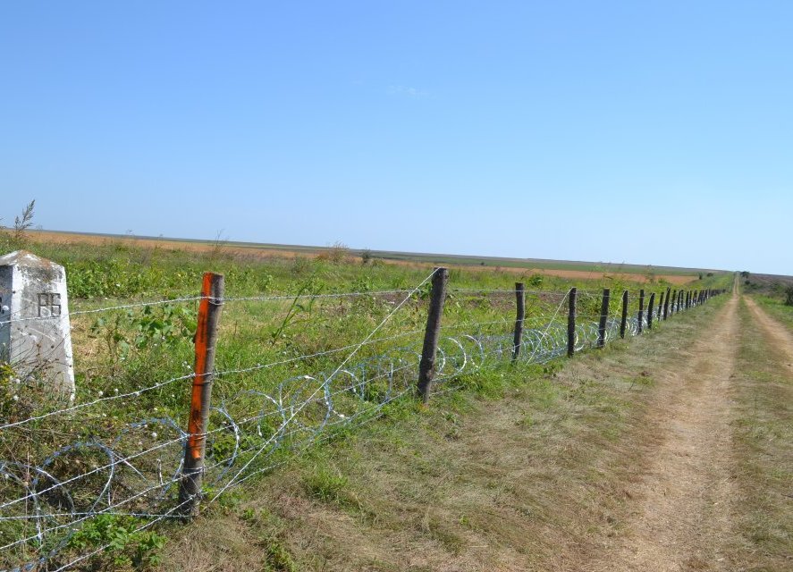 Dve mladi siriiki I rumanets narushili bulgarskata granitsa