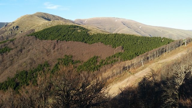 Prodavat kvadraten metar obstinska zemia na tsenata na parche balatum