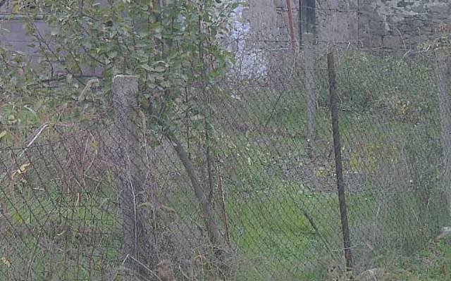 Nameriha trup na jena na 7 km ot doma i