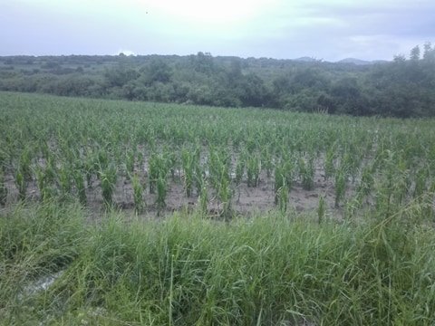 Poroi I graduski izplashiha horata v tsiala Deverna Bulgaria /OBZOR V SNIMKI I VIDEO/