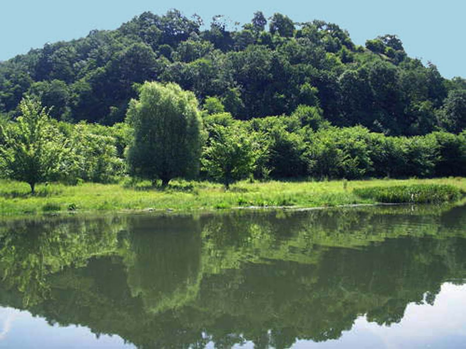 Vodolazi izvadiha tialoto na udaenoto Ogosta dete