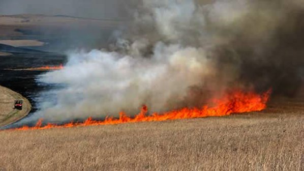 Visokite temperature sazdavat opasnost ot pojari