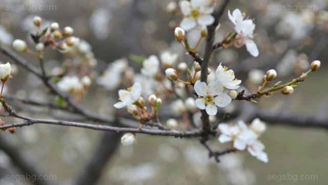Dali Bulgaria vse oshte ia ima izvan spomenite?