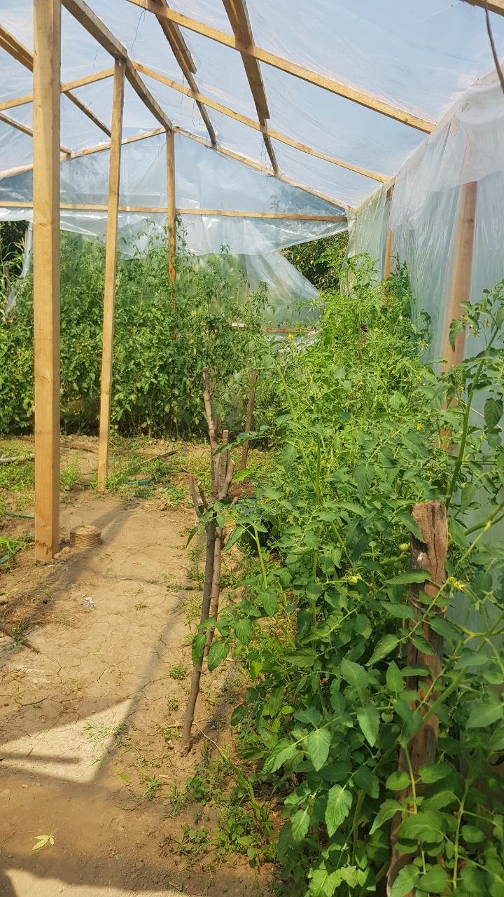 Ruskinia gledala droga u nas /SNIMKI/