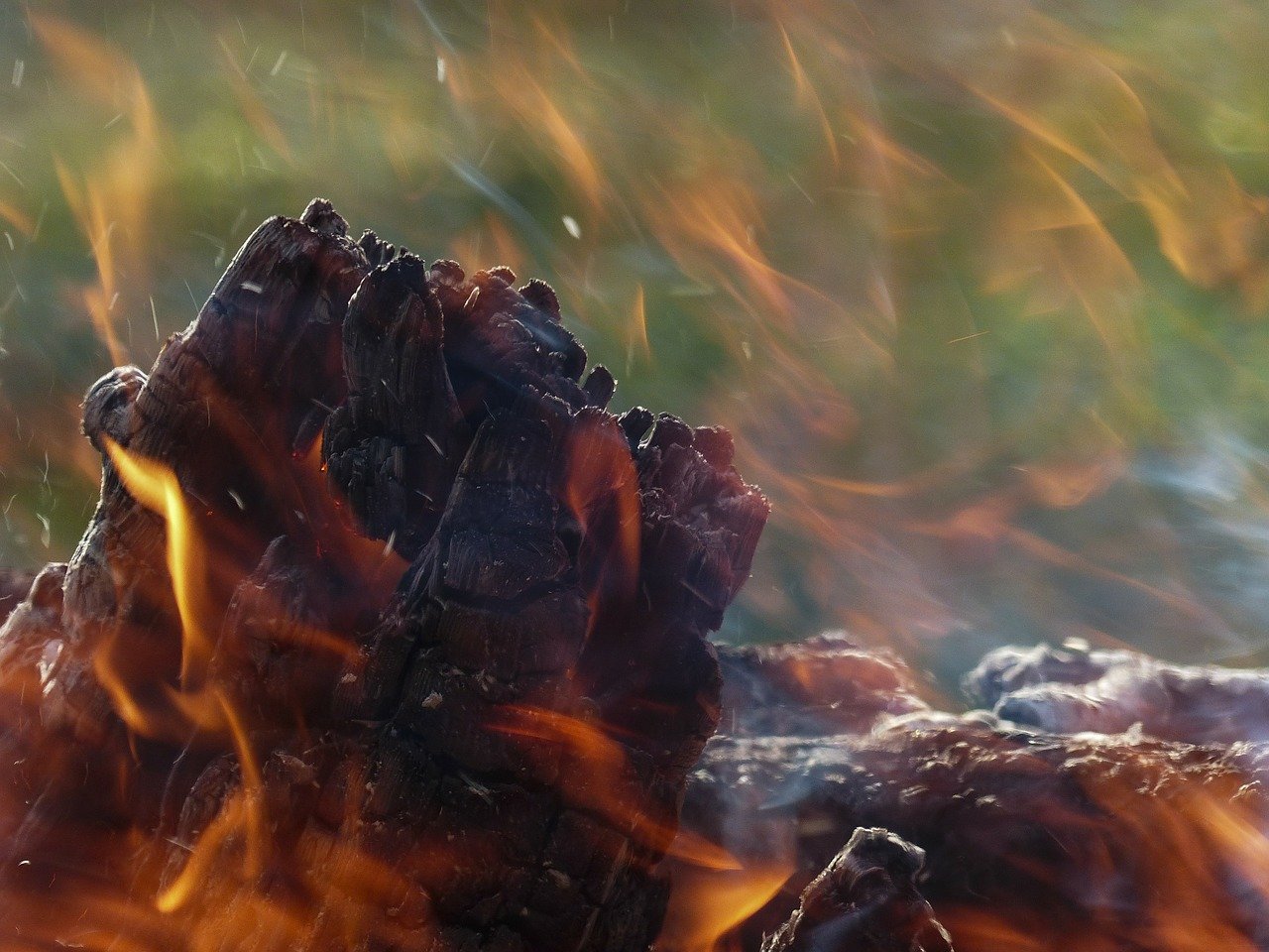 Pojar unishtoji goliama ovoshtna gradina