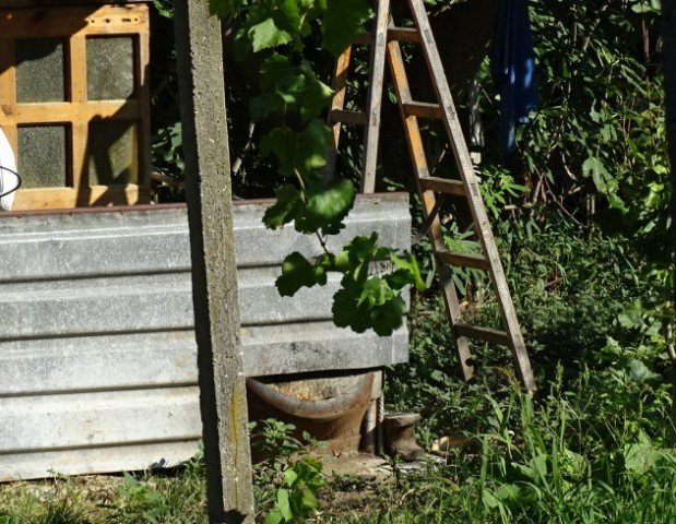 Prasnaha otrova v dva selski dvora