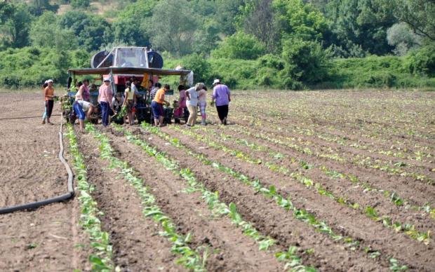 Inspektori debnat za narushenia v zemedelieto