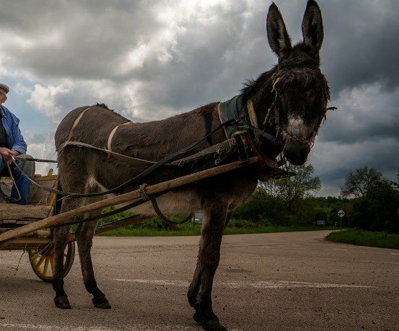 Vazrastna jena e v bolnitsa sled katastrofa