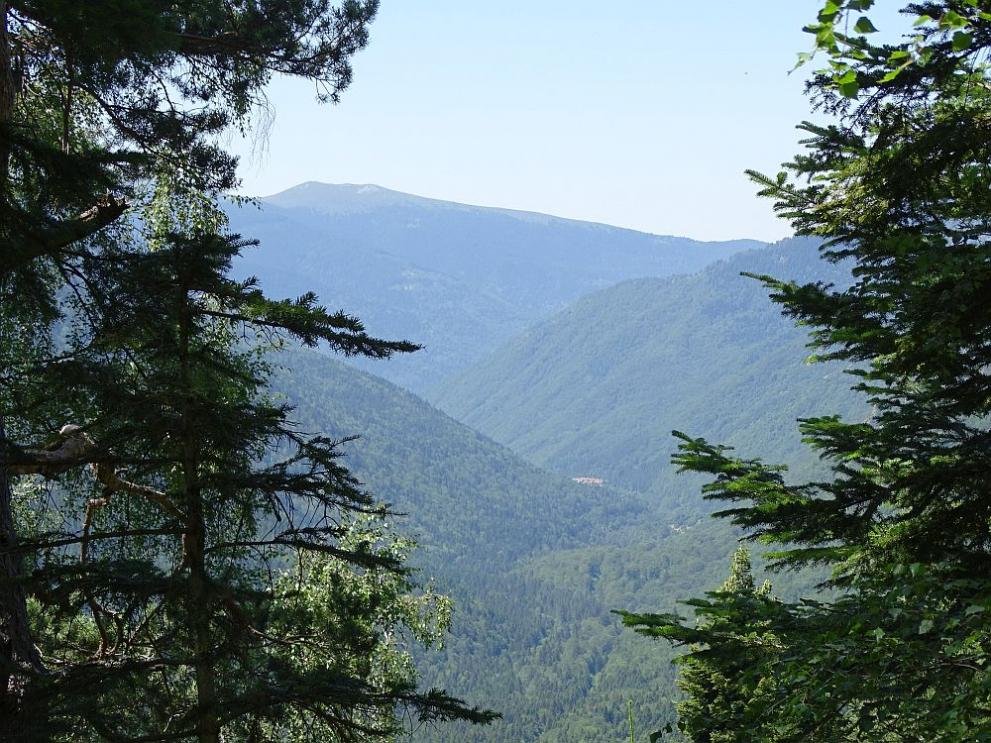 Nameriha tialoto na izcheznalata v planinata jena