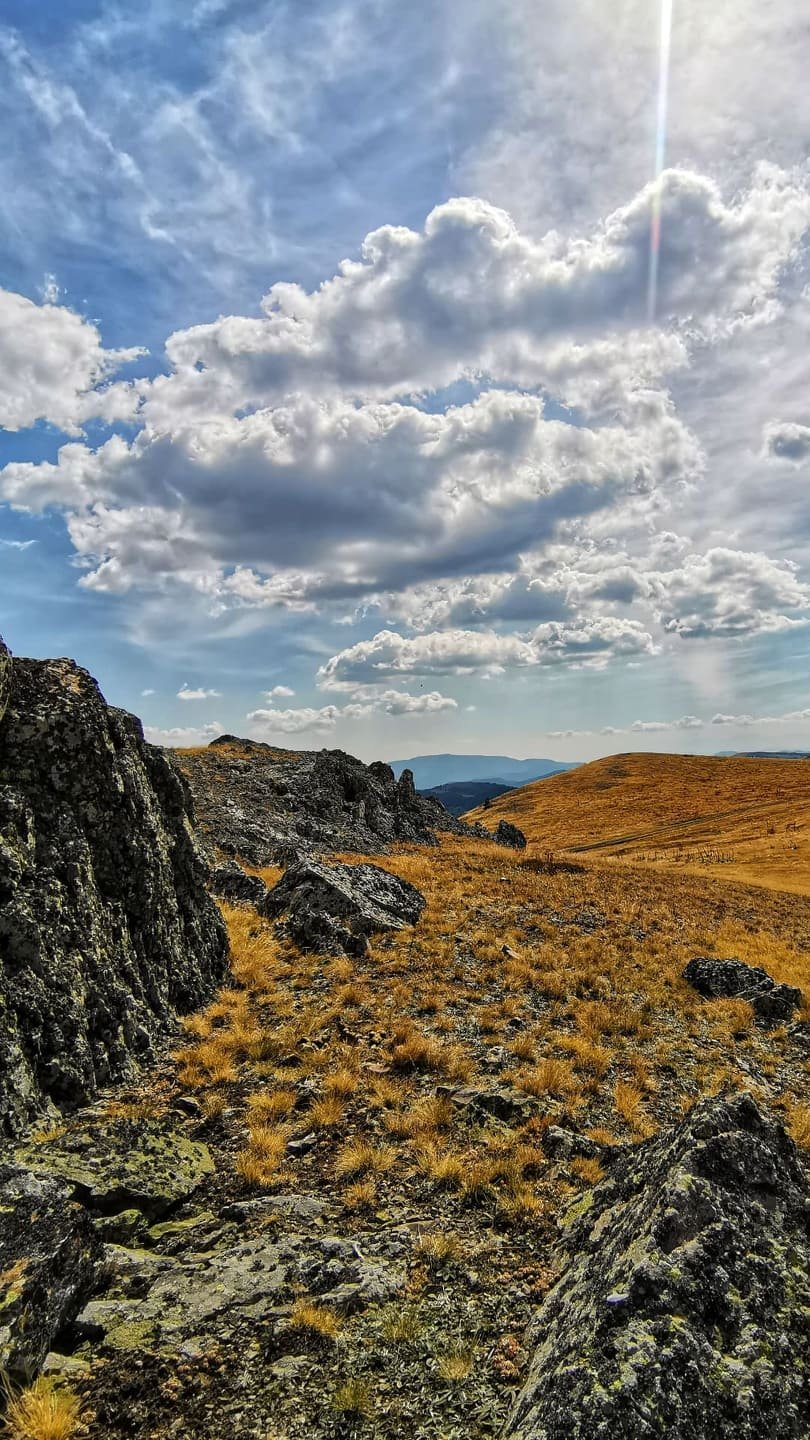 244334122_2393583944109826_6875241994710611049_n