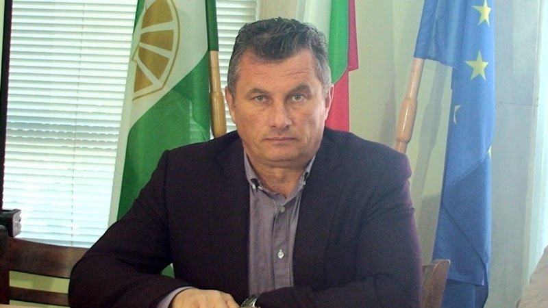 иво цветков
