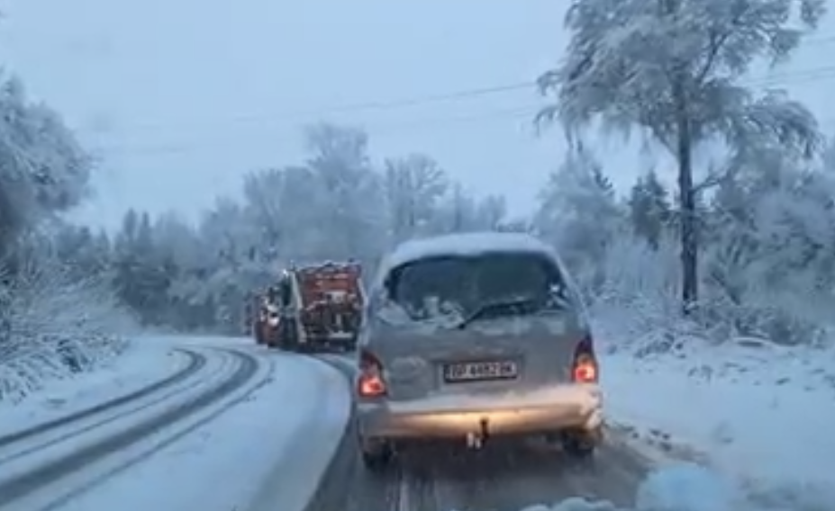 зима път