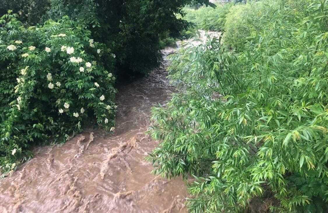 река берковица1