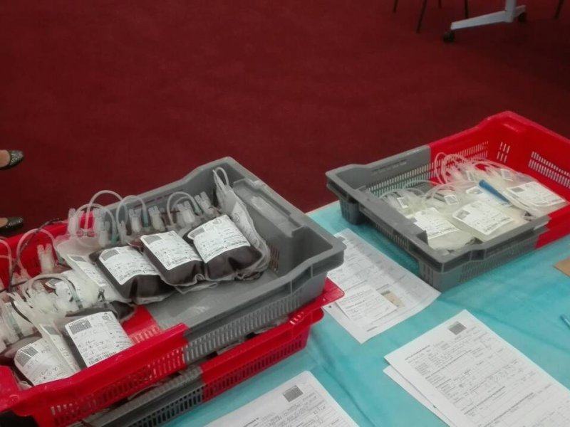 дарена кръв