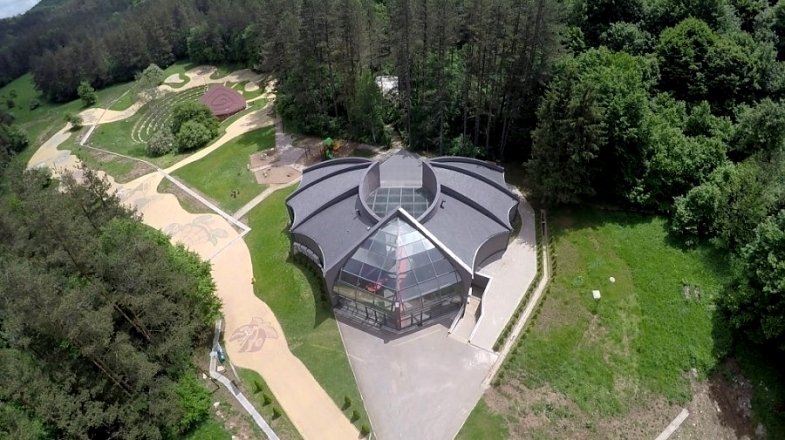 леденика парк