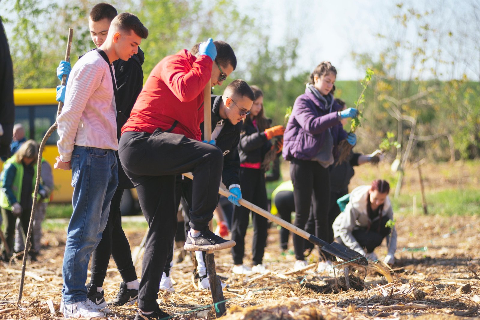 залесителна акция мездра