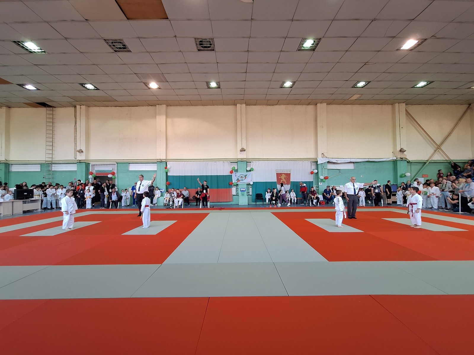 джудо козлодуй