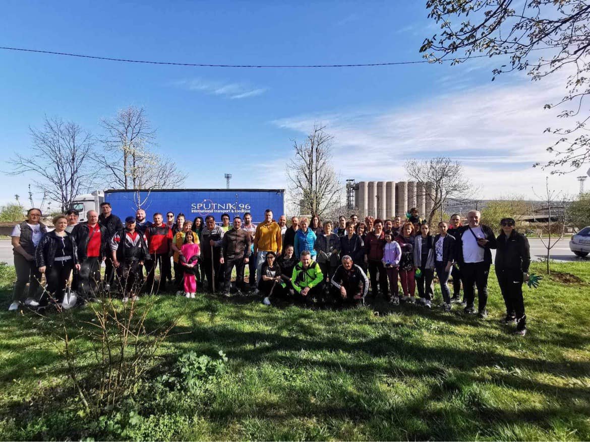 дръвчета засаждане враца