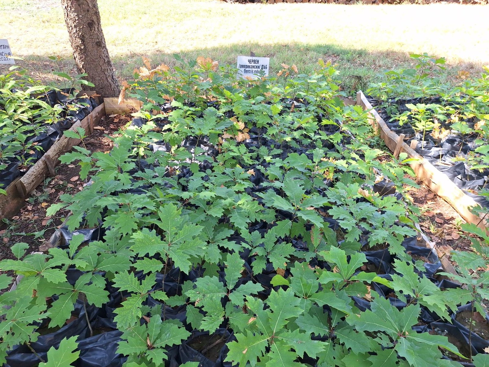 Severozapadno durzhavno predpriyatie