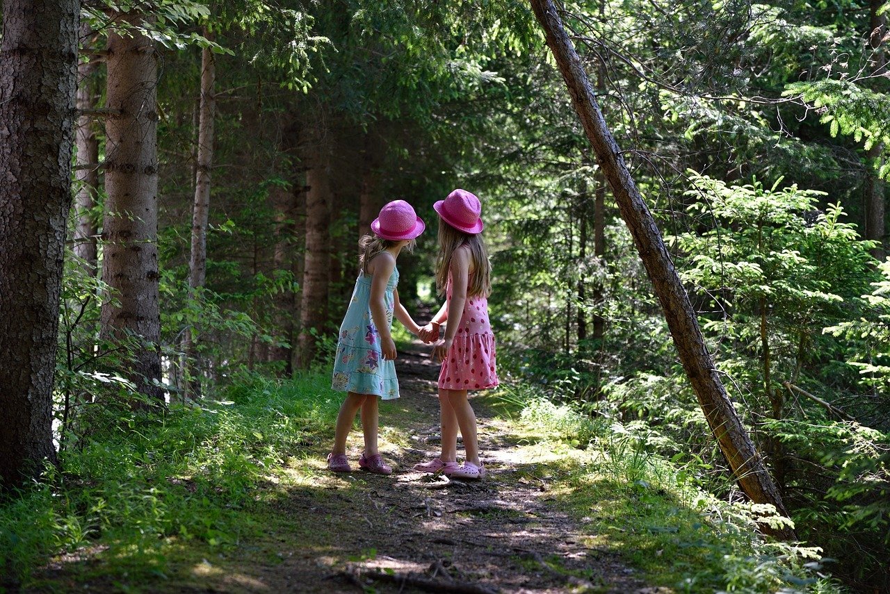 children forest