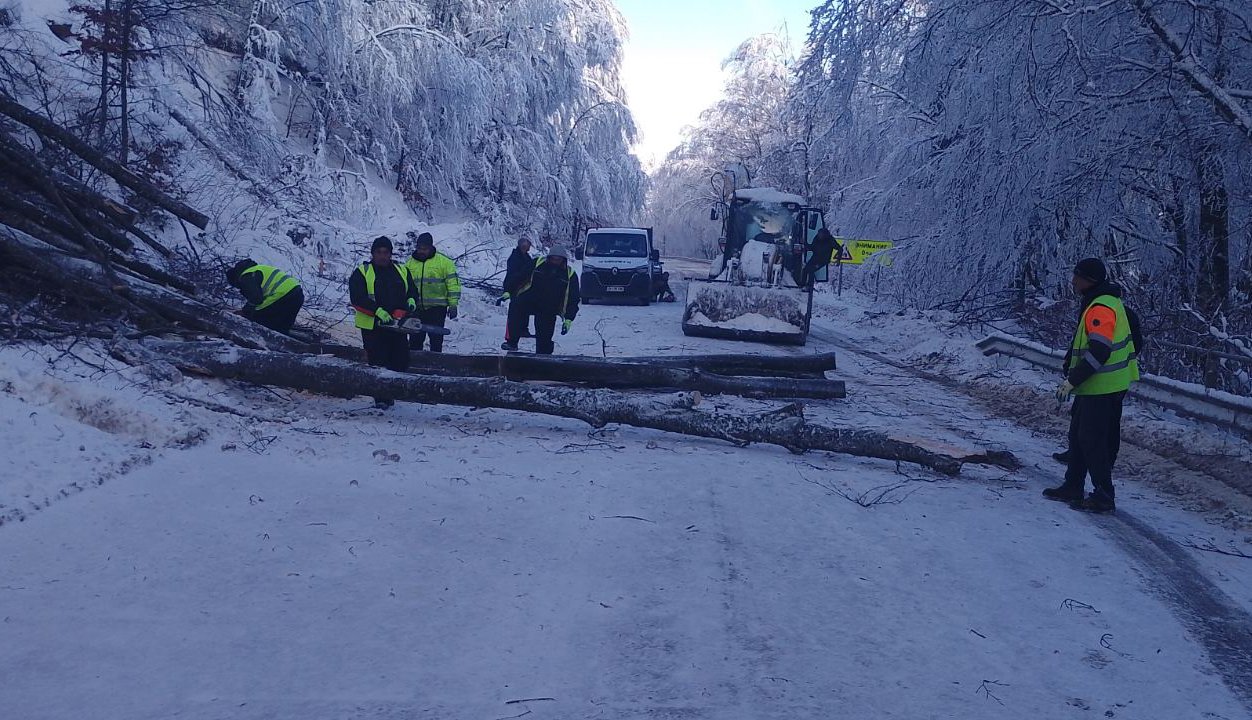 Petrohan-3-12-2024 (3)