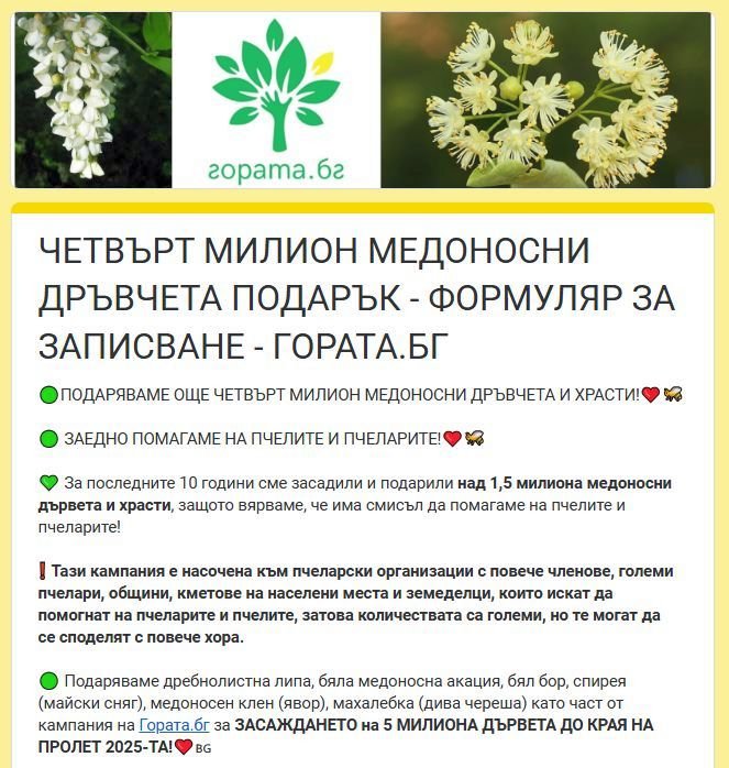 медоносни дръвчета мездра