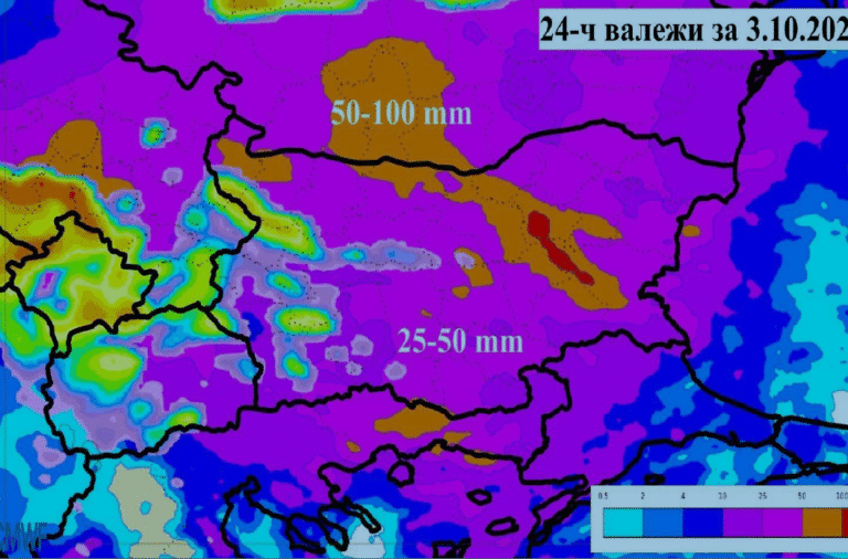 валежи