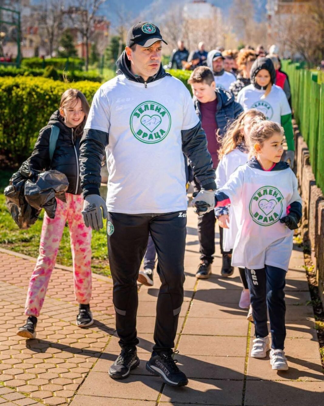 зелена враца