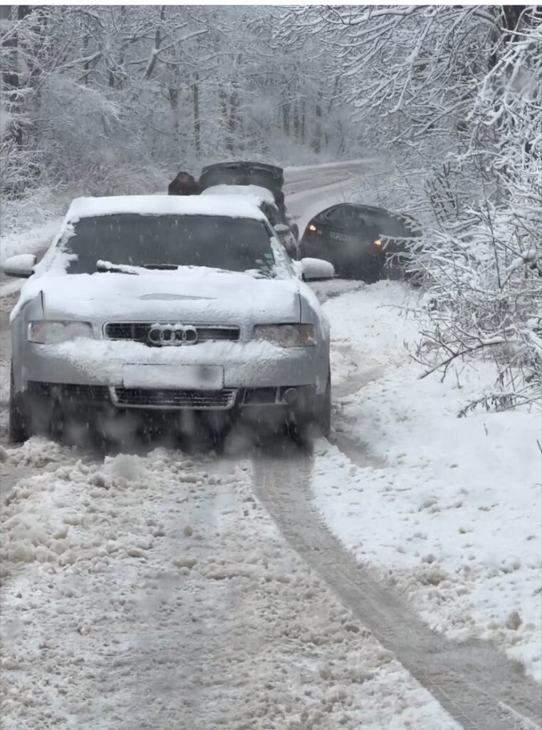 враца чирен